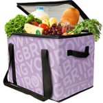 Thermozip Collapsible Box filled with groceries