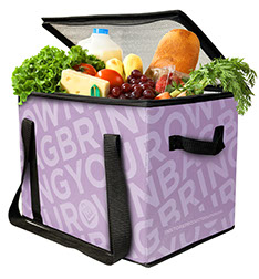 Thermozip Collapsible Box filled with groceries
