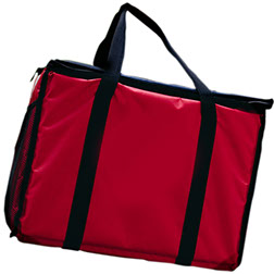 Large insulated delivery bag