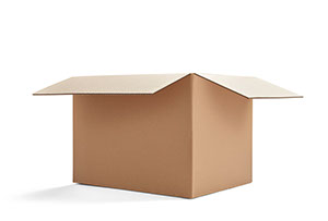 Standard cardboard box