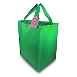 Reusable green value bag