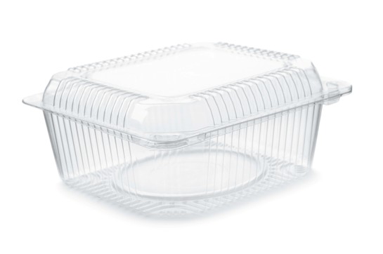 Plastic take out container